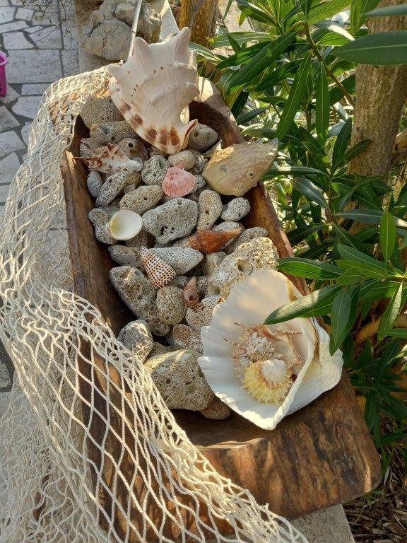 Mediterranean garden